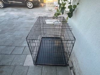 Dog cage