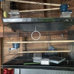 Bird Cages 