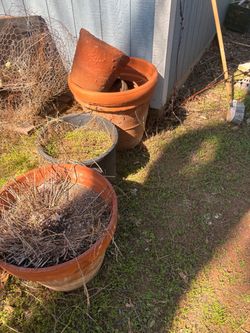 Large Terracotta Clay Garden Pots