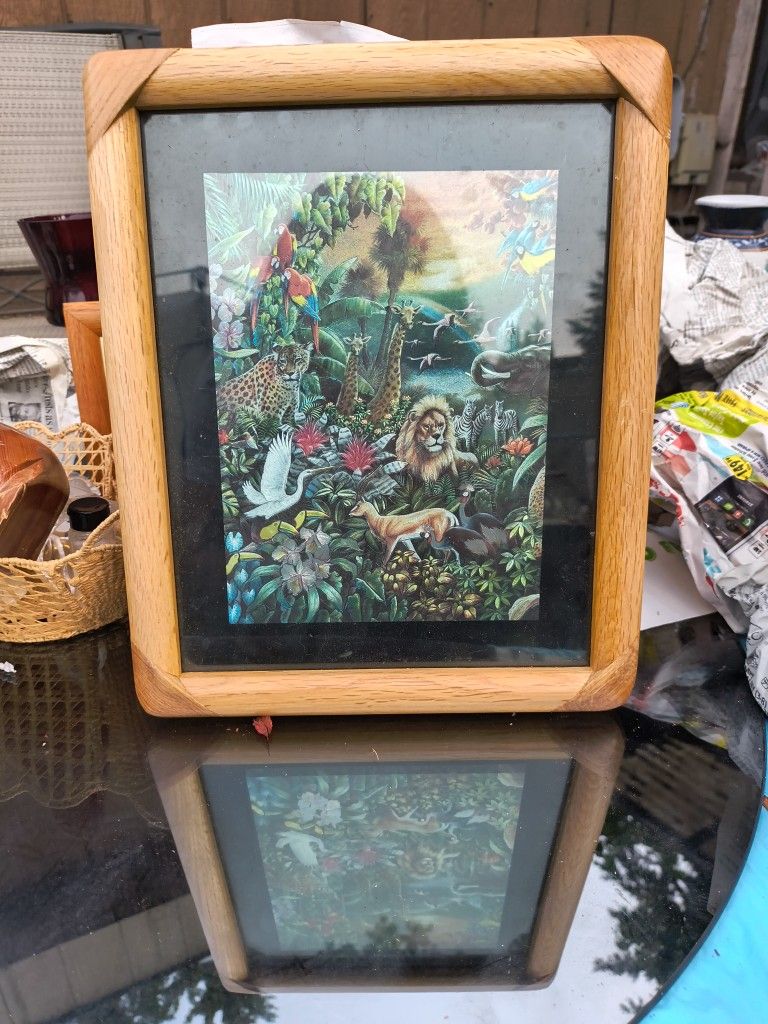 Animals In The Forest
