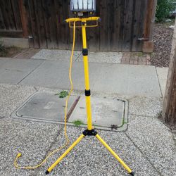 Halogen Adjustable Work Light.