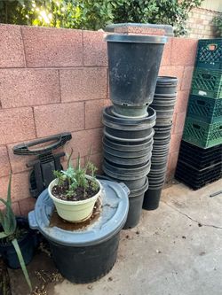 So many different plant buckets for sale
