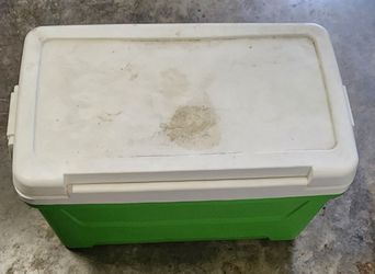 Igloo Cooler