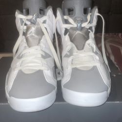 Air Jordan Cool Grey 6s Size 10.5