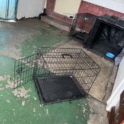 Medium Sized Cage 