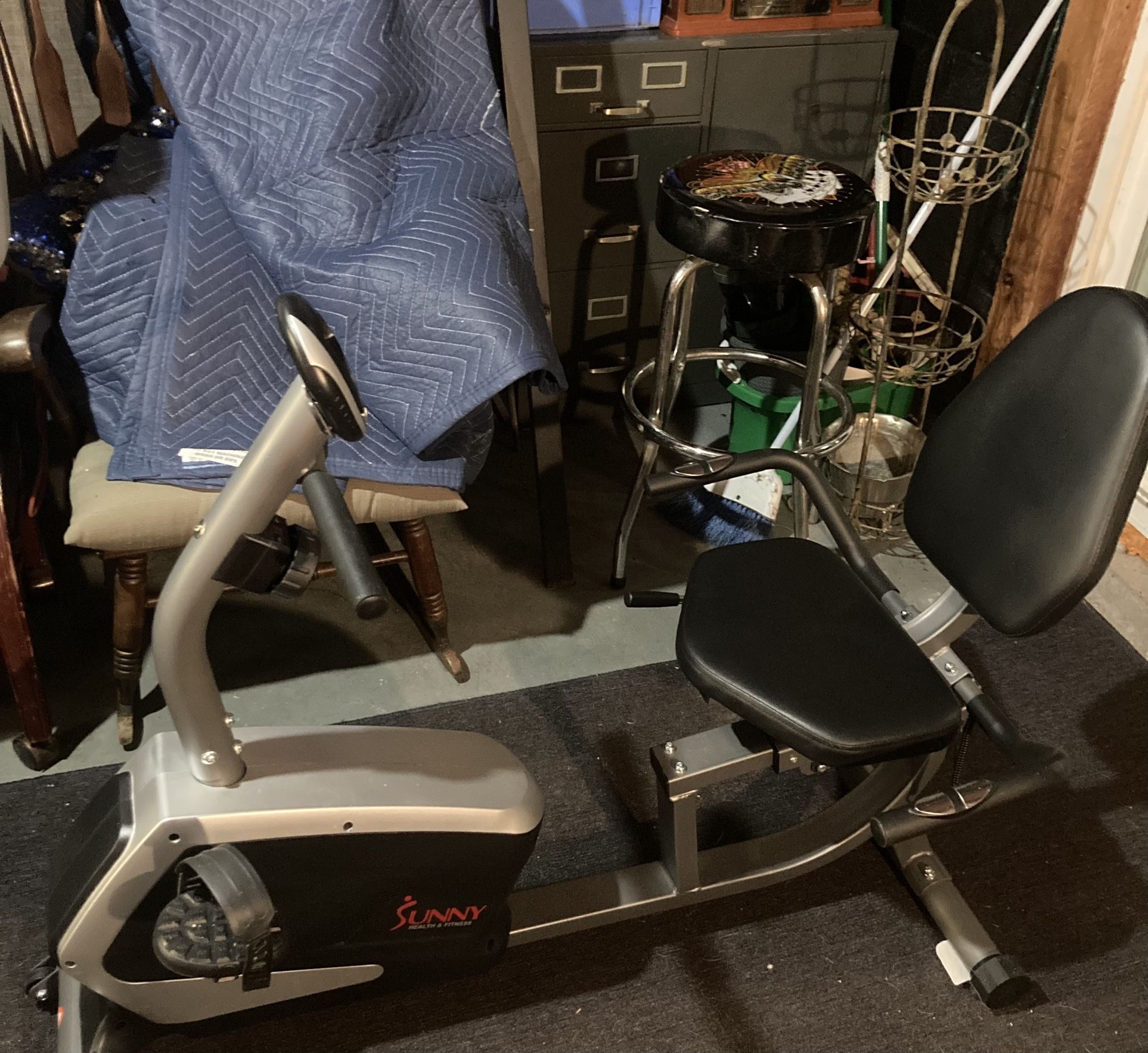 Sunny Exercise Bike