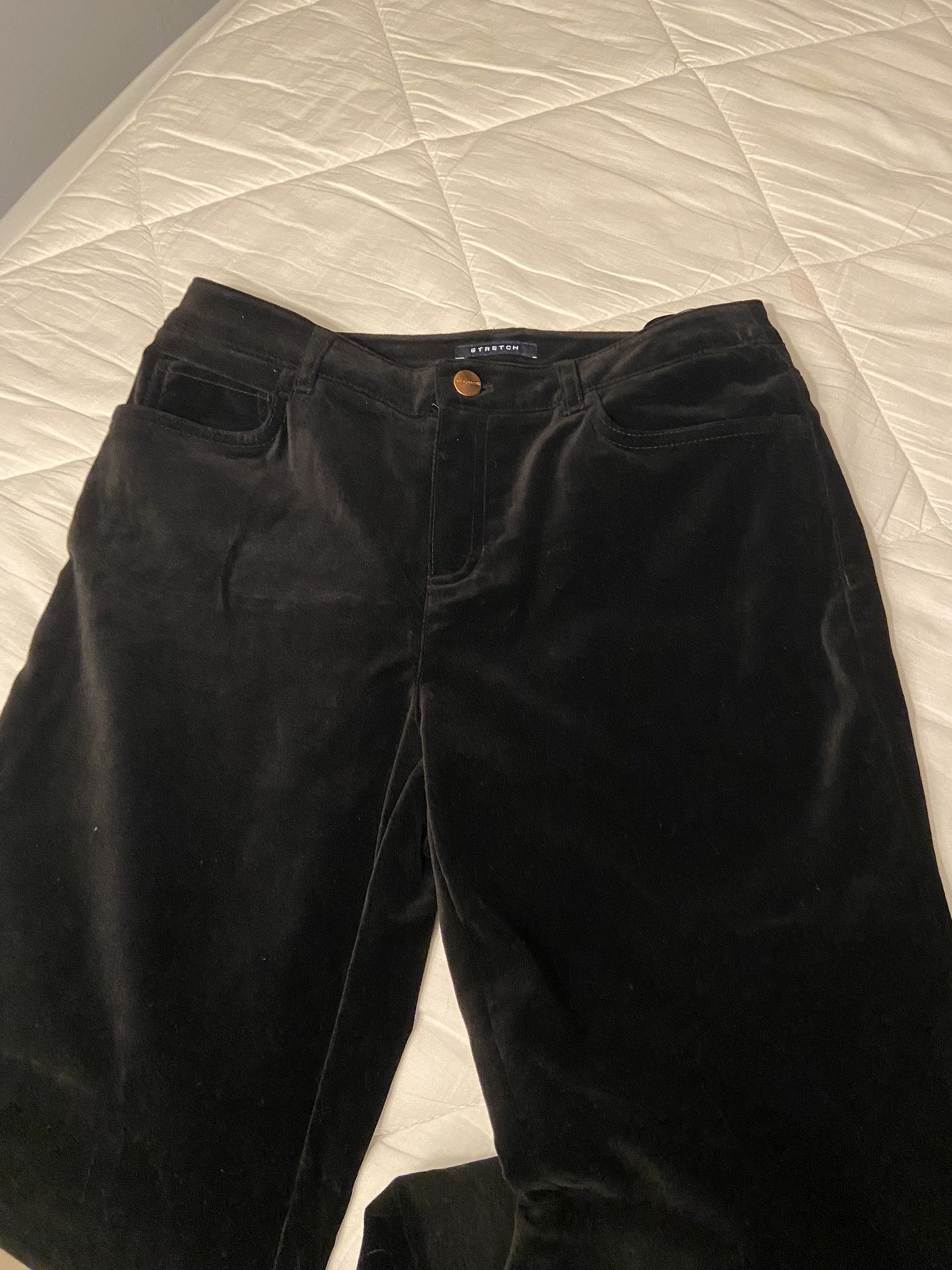 Jones New York Signature Velvet Pant