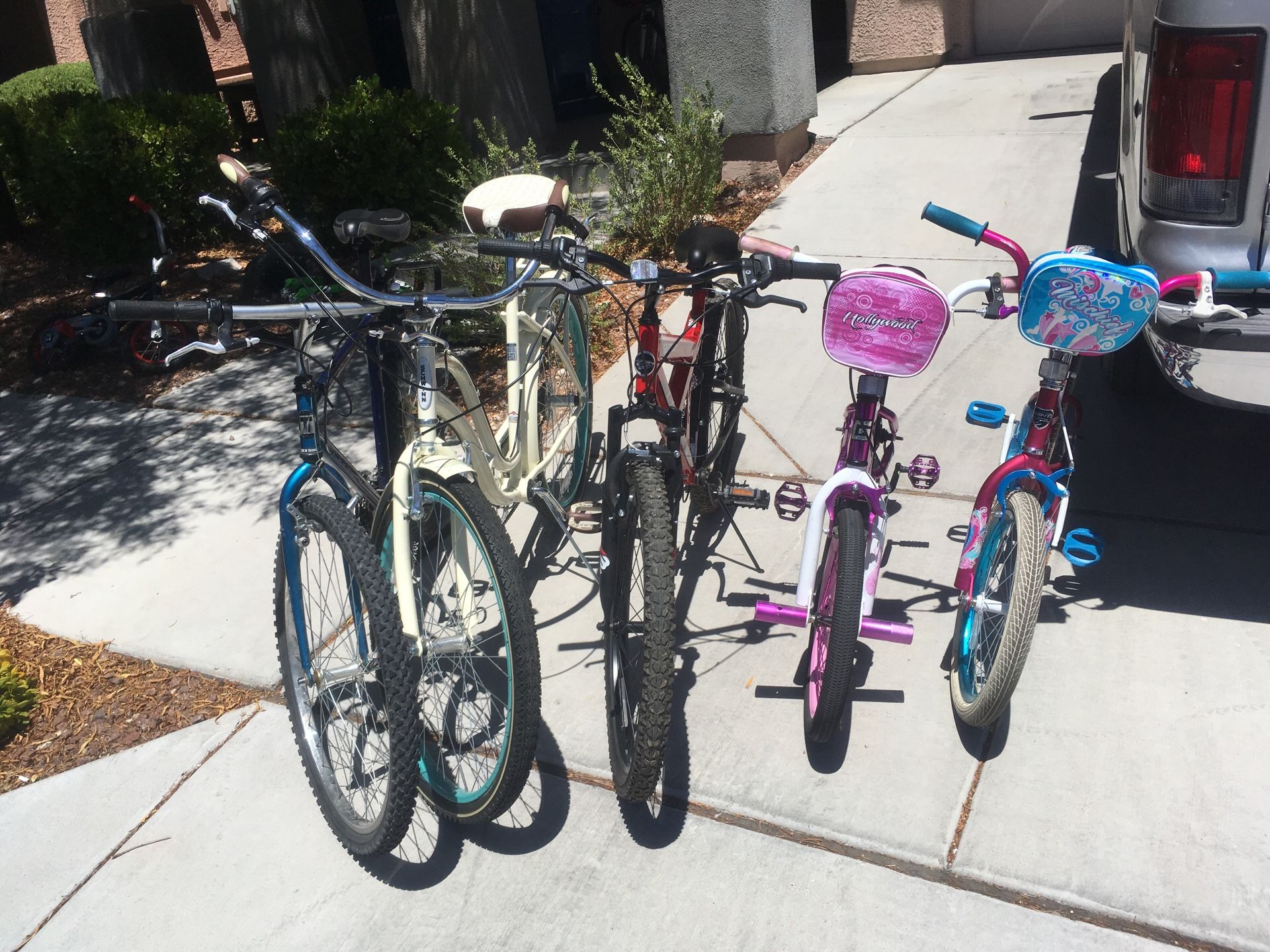 Bikes for the whole family