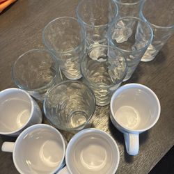 Glass Cups