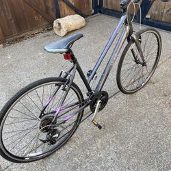 Giant Womens Bike 