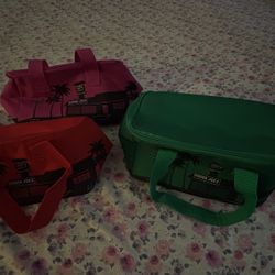 Trader Joes Mini Insulated Bags