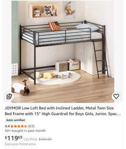 Low Loft Twin Bed with Mattress