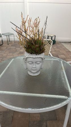 Buddha Vase + Plant