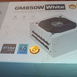 Segotep GM850 Power Supply Gold Rated / White Color