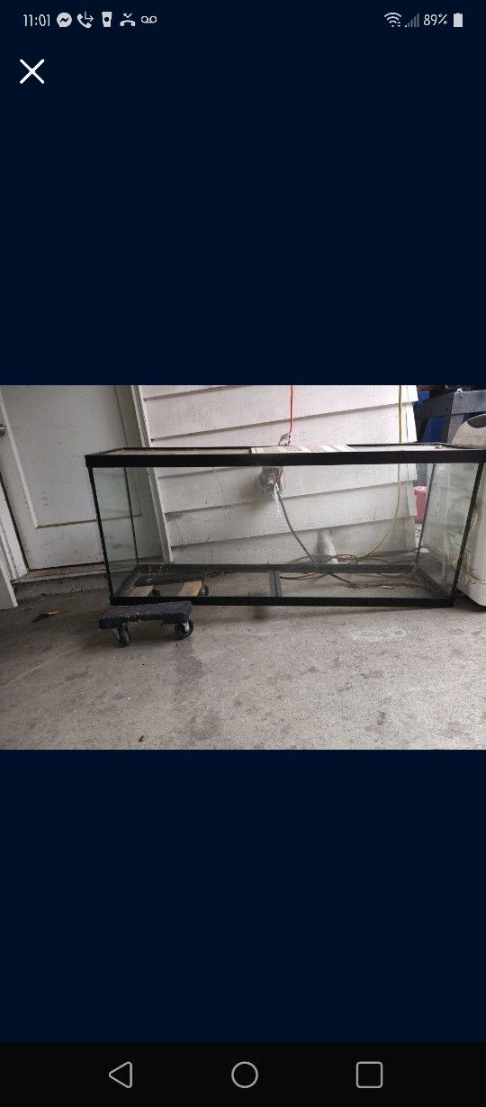 Large Fish Tank