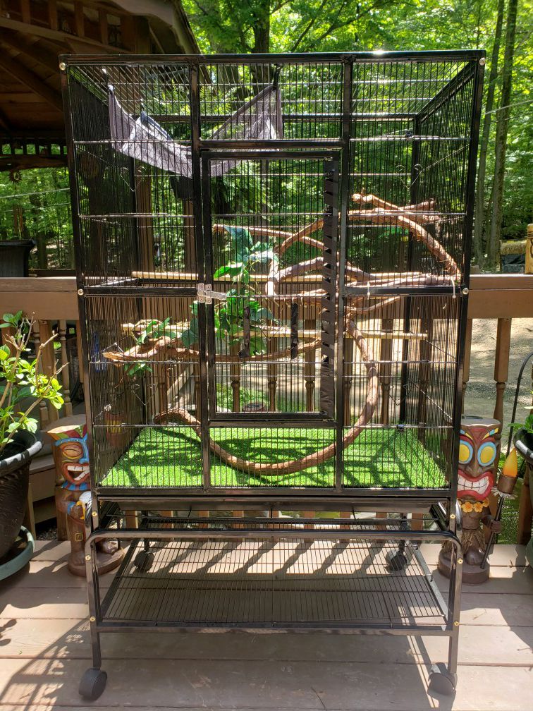 Chameleon / Bird Cage