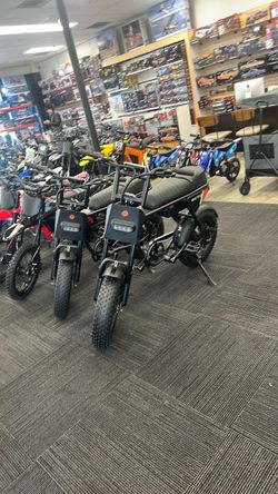 Rictor flex ebike