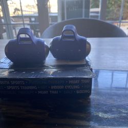 Egg   Weights  5 Lb Pair , 2 1/2 Lb Each Rare !!!