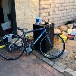 Dark Blue Diamondback Insight1
