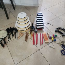 Kids Musical Instrument Lot - Perfect For Music Teacher Or Music Therapist