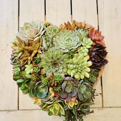 Heart-shaped Planter