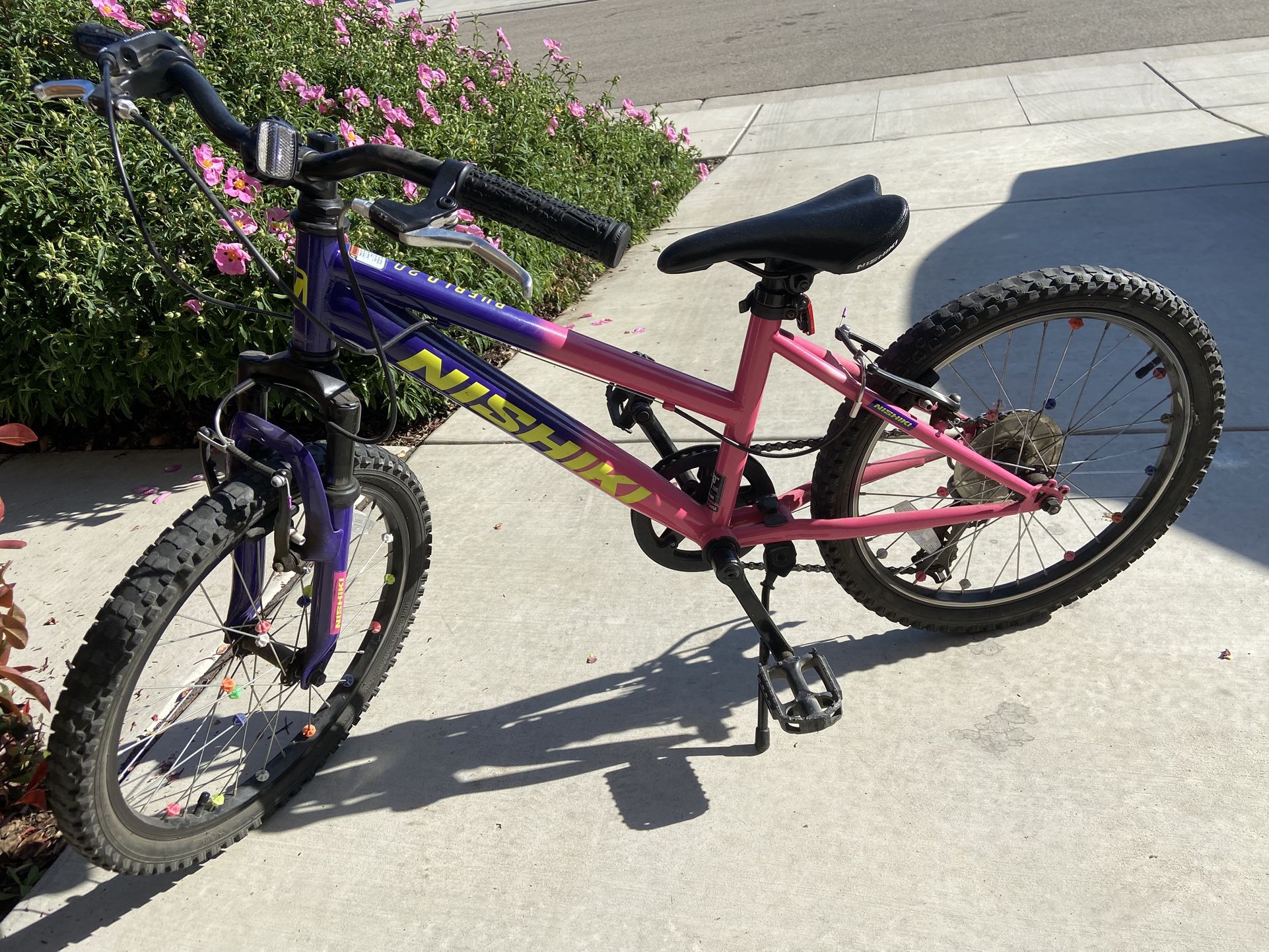 Nishiki Bike Size 20 Inch