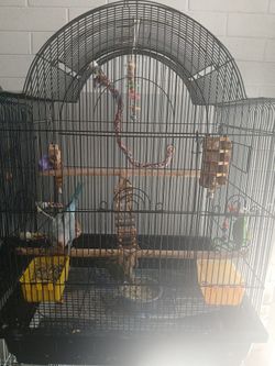 Nice Cage