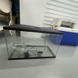10 Gallon Fish Tank 