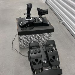 Thrustmaster T.Flight With Pedals