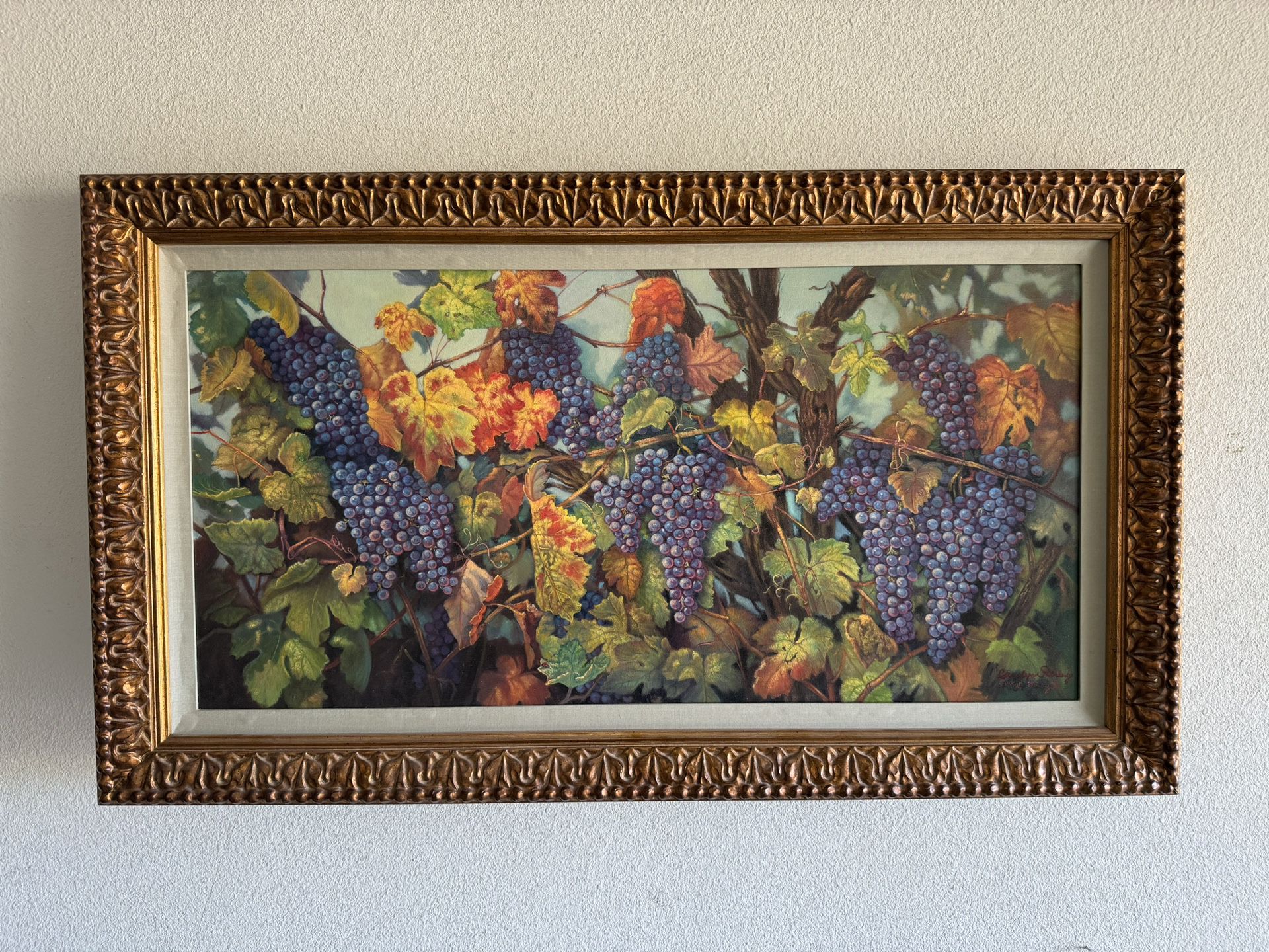 Artwork - Vineyard/grapes