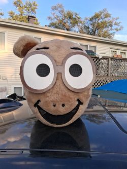 Author head