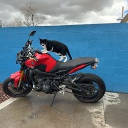 Fz-09 (Took a little slide, Needs minor repairs).