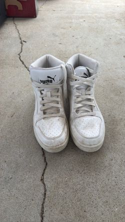 Pumas