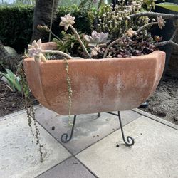 Terracotta pot Planting For Garden