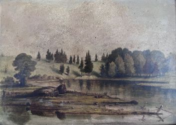 Lowland Landscape Study