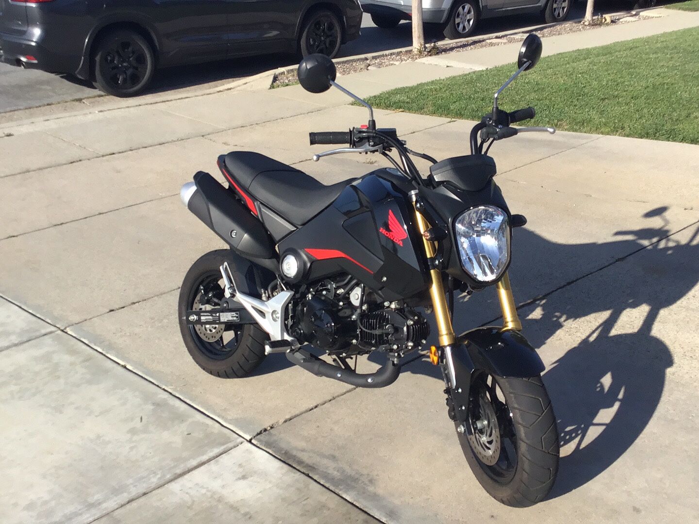 2015 Honda Grom