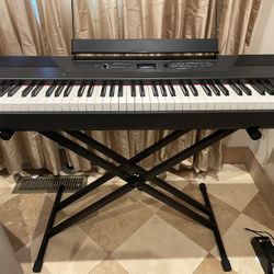 Digital Piano -Alesis Recital Pro