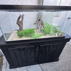 Aquarium Tank + Stand