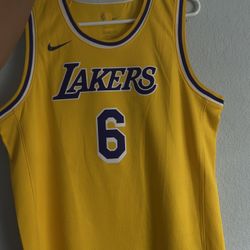 Lebron James Jersey