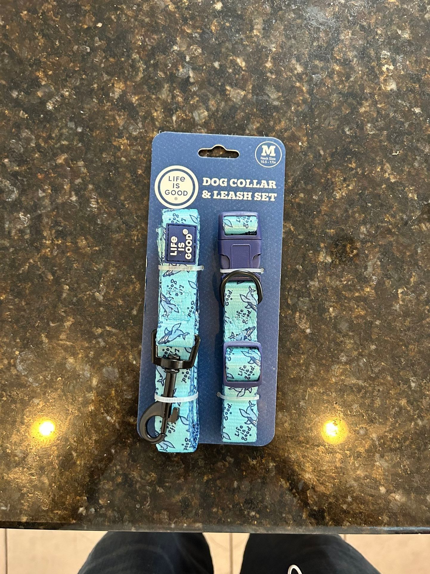 Life Is Good Dog Collar & Leash Set Size M Ocean Blue Whale Print 5 Foot Nylon