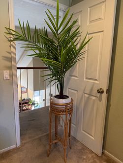 Fake palm and wood stand