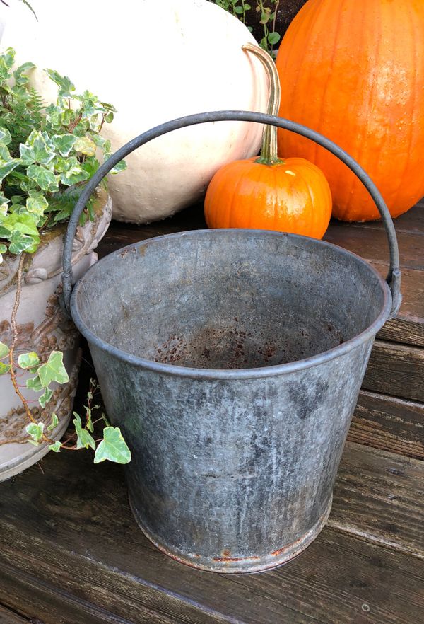 Antique Rustic Metal Bucket for Sale in Puyallup, WA OfferUp