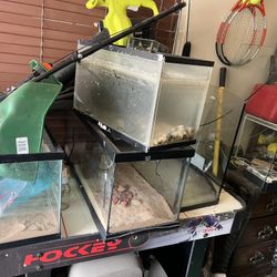 Fish Tanks