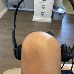 Computer Headset With Microphone