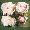 Jafrraa Royal