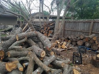 Mesquite,Oak and Pecan