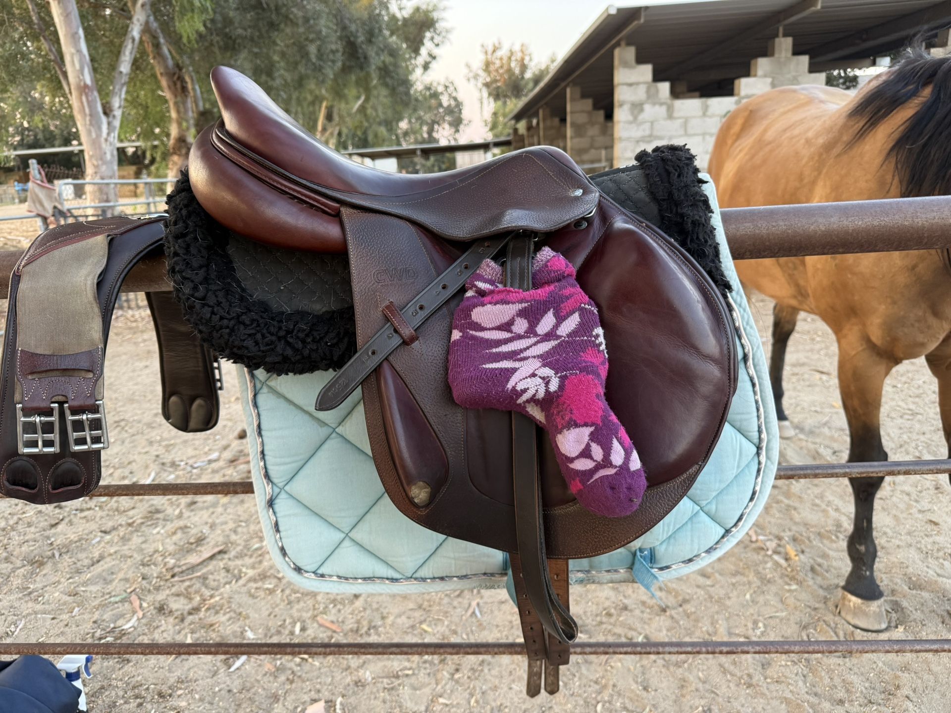 2015 SE09 CWD Monoflap Jumping Saddle