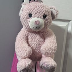 Teddy Bear Bookbag