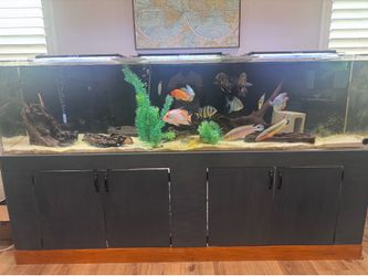 240 gallons Acrylic Aquarium Tank with custom stand made by 2x4 and 4x6 very strong and custom sump