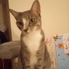 Charlie